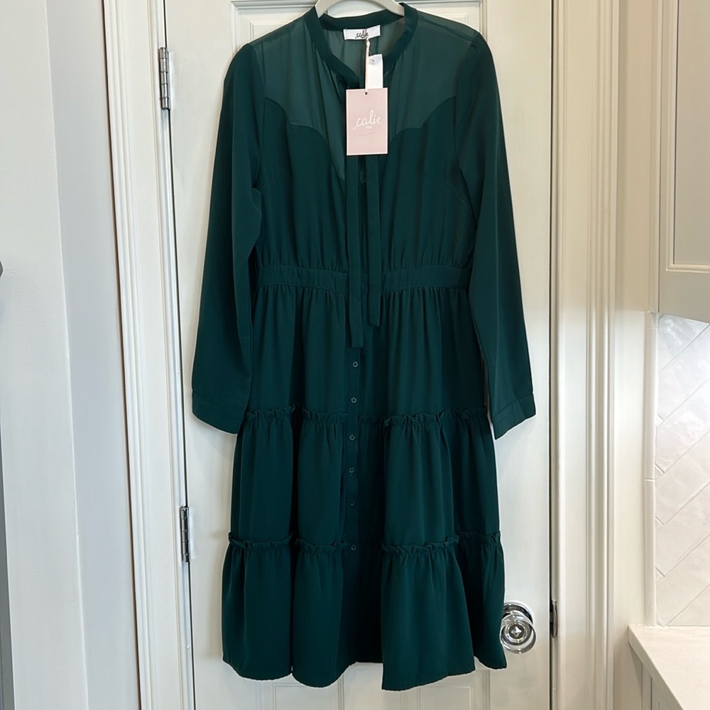 Calie Paris Green Ruffled Dress Sheer Scalloped Fabric At Chest sz.40 or M NWT